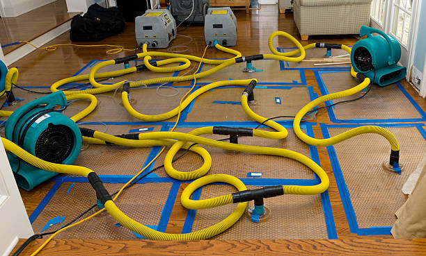 Professional Burst Pipe Water Damage technician working in Trenton, UT